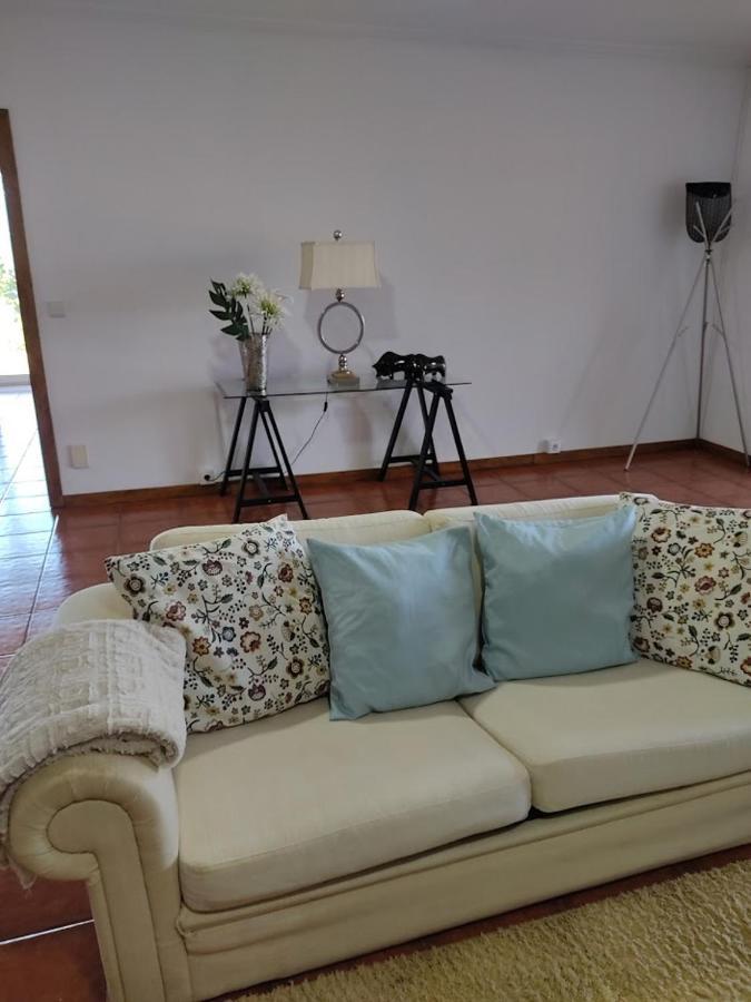 Villa Paraiso Hills - Encostas Do Paraiso: Tranquilidade No Douro Resende