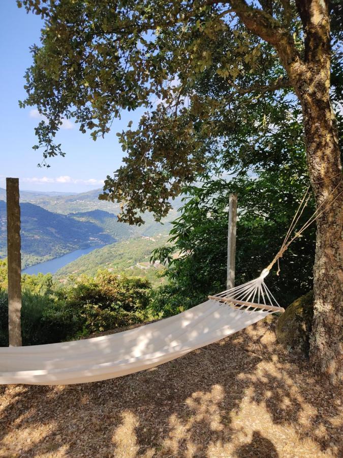 Villa Paraiso Hills - Encostas Do Paraiso: Tranquilidade No Douro Resende