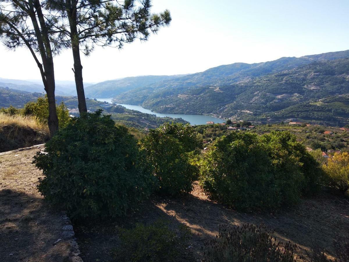 Paraiso Hills - Encostas Do Paraiso: Tranquilidade No Douro Resende